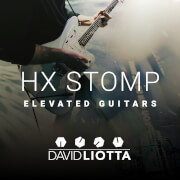 HX Elevated Guitars